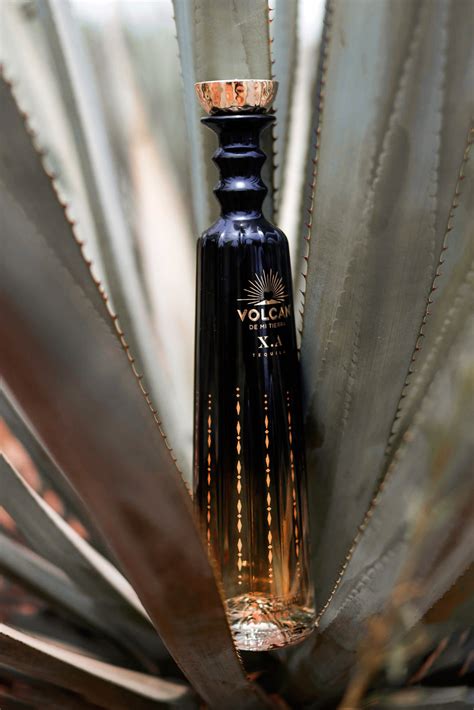 louis vuitton tequila|EXCLUSIVE: Moët Hennessy Introduces Volcán X.A, an Ultra .